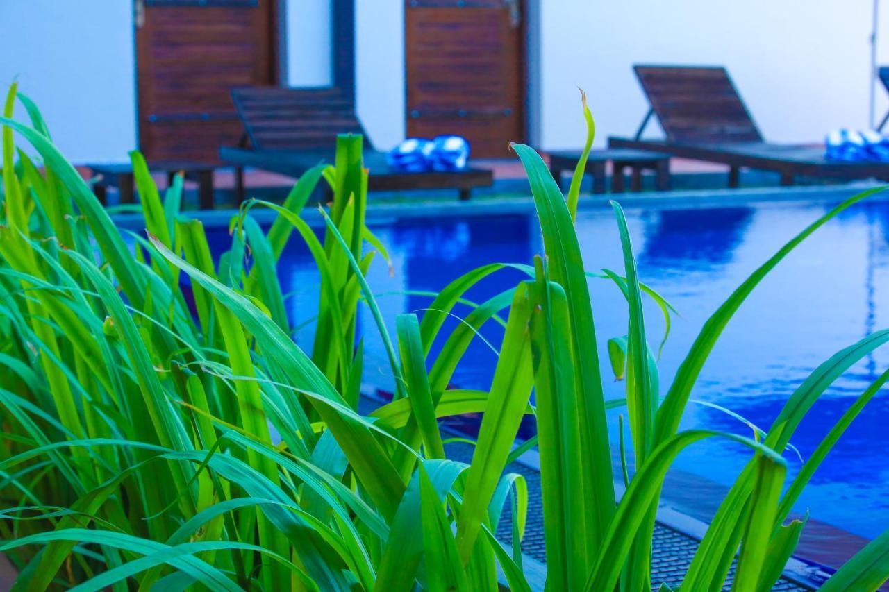 Ali Weta Safari Resort Udawalawe Dış mekan fotoğraf