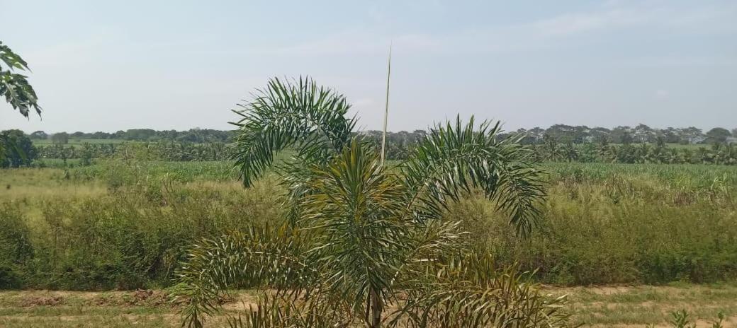 Ali Weta Safari Resort Udawalawe Dış mekan fotoğraf